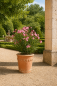 Preview: Grand pot cylindrique en terre cuite d’Impruneta 45 cm